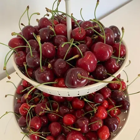 Iv Vico Bed & Breakfast 3*